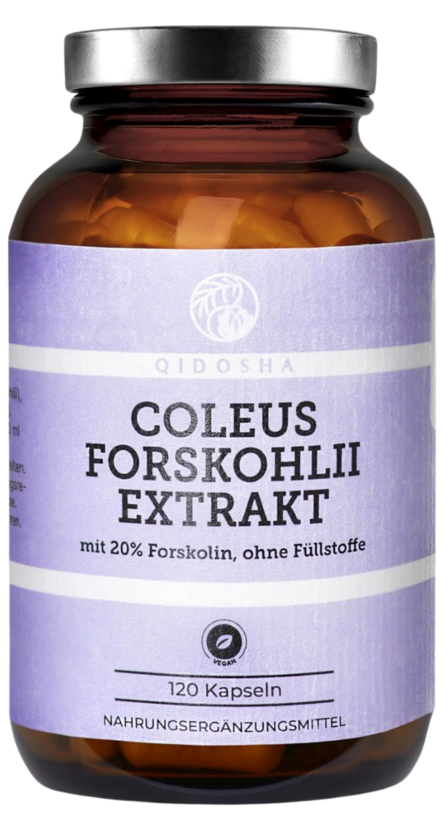 Coleus forskohlii juureekstrakt 